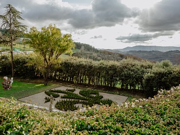 Green Retail  - Black Friday e RAEE: il 49% degli italiani ignora i servizi gratuiti di ritiro 