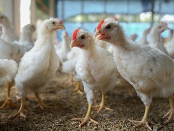 Green Retail  - Consumi: 2 italiani su 3 acquistano bio 