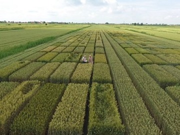 Green Retail  - MD: INVESTITI 30 MILIONI DI EURO PER PROGETTI LEGATI ALLA SOSTENIBILITA’ 