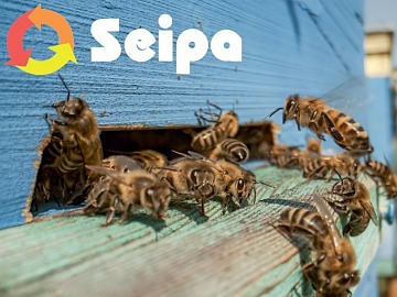 Green Retail  - FederBio: tolleranza zero per chi froda nel biologico 