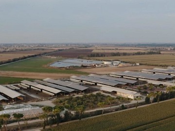 Green Retail  - Progetto ortofrutta Made in Basilicata: 190 le aziende coinvolte 
