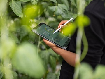 Green Retail  - Monini premia lo “scienziato degli alberi” e annuncia la prima raccolta del suo bosco 