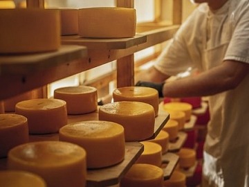 Green Retail  - Gli 80 anni di Fiamm, un modello di integrazione tra culture industriali 