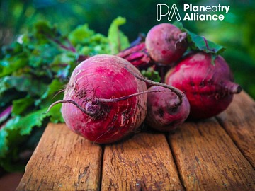 Green Retail  - Oltre 700.000 euro a favore della comunit&agrave; ucraina dai dipendenti E.On 