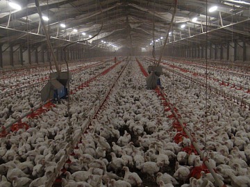 Green Retail  - Unes lancia la campagna “Vicini di spesa”: ironia e autenticità 