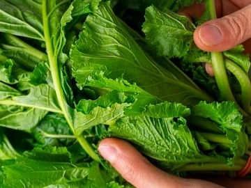 Green Retail  - Nidec ACIM svela la nuova strategia per un Futuro Carbon-Free 