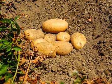 Green Retail  - ITAS Vita nomina il nuovo direttore generale e conferma la crescita nel welfare 