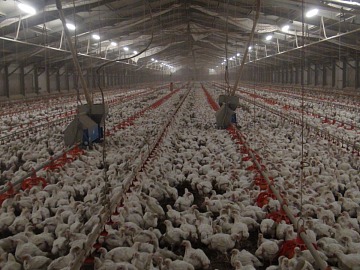 Green Retail  - Klépierre: una strategia di contenimento energetico per l’intero portfolio italiano di centri commerciali 